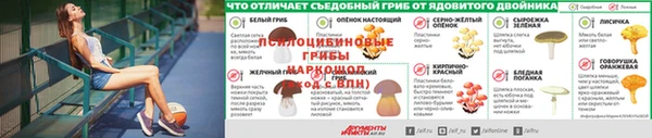 a pvp Балабаново